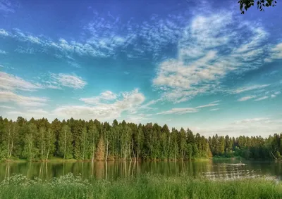 Лесное озеро - фото автора стихиЯ на сайте Сергиев.ru