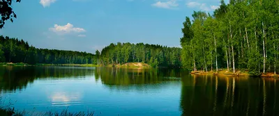 Лесное озеро Сергиев Посад - фото и картинки: 58 штук