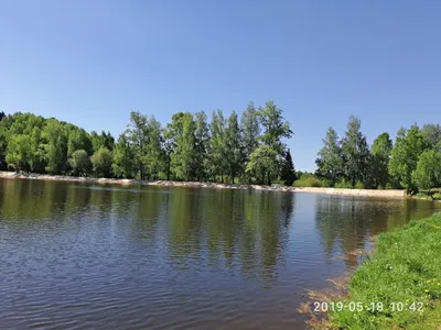 Лесное озеро в Сергиевом-Посаде (Россия) с фото и отзывами
