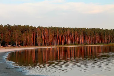 Озеро Лесное Курганская область - 49 фото