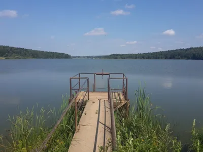База отдыха «Торбеево озеро» в Сергиевом-Посаде (Россия) с фото и отзывами