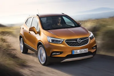 Opel Mokka 1.6cdti 2017 Delco e98 пересмотренный Adblue off
