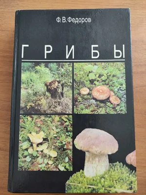 Царство грибов Тверской области: редкие, ядовитые, съедобные - ТИА