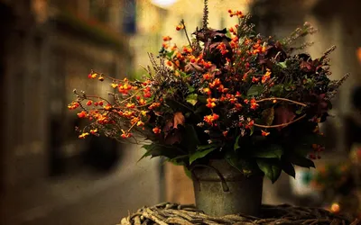 Осенняя цветочная композиция украсит ваш дом