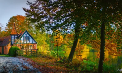 Обои на монитор | Осень | Германия, осень, дом, Ahausen Lower Saxony,  деревья