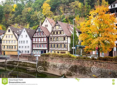 Обои Германия, Нижняя Саксония, аллея, парк, деревья, скамейка, листья,  осень 1920x1200 HD Изображение