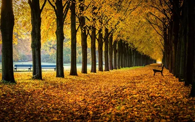Осень в Шопфхайме Германия - 46 фото