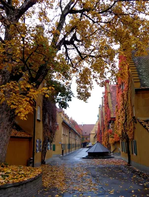 Осень в Германии | Пикабу