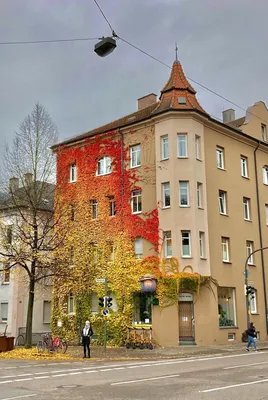 Поздняя осень в Германии в десяти фотографиях – DW – 15.11.2021