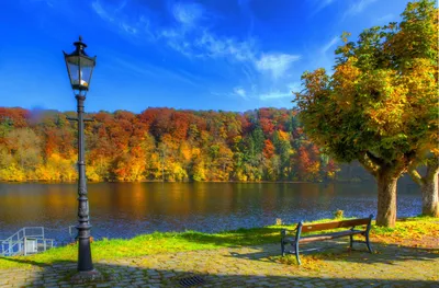 Фото осенней природы парка Германии с фонарями, деревьями, скамейкой | Обои  для телефона
