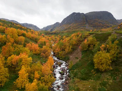 Осень в Норвегии | Пикабу