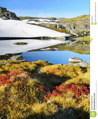 Норвегия, осень луга горы стоковое фото. изображение насчитывающей  отключение - 84588318