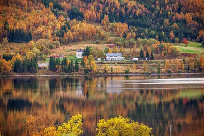 Фото дома Норвегия холмы - бесплатные картинки на Fonwall