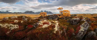Северная осень (Норвегия, Лофотены). Фотограф Yury Pustovoy  (artphoto-tour.com)