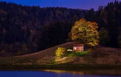 Отдых на фьордах Норвегии осенью — экскурсия на «Тонкостях туризма»
