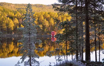 обои : Осень, природа, воды, Норвегия, Нордж, водопад, Nikon, Natur,  Норвежский, Вышивка, Halden, Vann, Ч ст, D7100 6000x3612 - - 752062 -  красивые картинки - WallHere