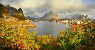Осень в Норвегии недалеко от Осло стоковое фото ©xura 313449380