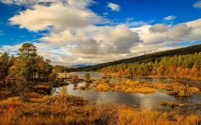 Обои осень, лес, небо, деревья, отражение, синева, голубое, берег, красота,  Норвегия, домики, водоем, кроны, золотая осень, рыбацкие, яркая листва  картинки на рабочий стол, раздел пейзажи - скачать
