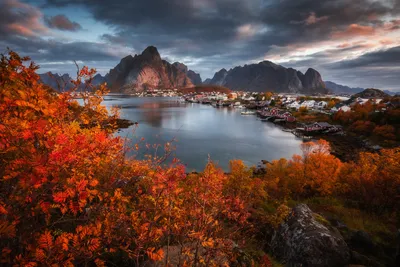 Фото Осень на Лофотенских островах, Норвегия, фотограф PaweЕ‚ Uchorczak