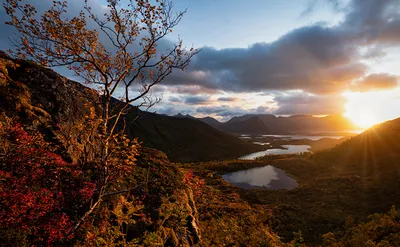 Осень в Норвегии. Норвежская провинция в середине сентября. Поход в лес.  Неизвестные ягоды и грибы. Фото | Стелла Ларсен | Дзен