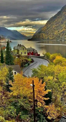 Фото Лофотенские острова Норвегия гора Осень Природа Пейзаж
