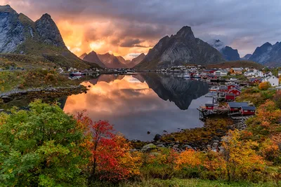 Осенние Туры на фьорды Норвегии | Uniktur