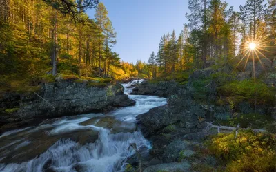 Гид Осло и фьорды западной Норвегии - Краски осени в горах 🇳🇴 | Facebook