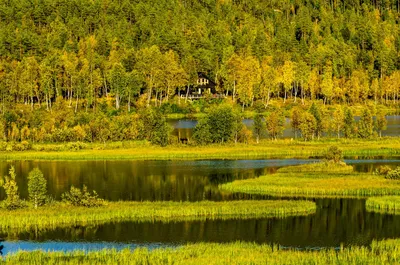 Картина из ткани Осень в Норвегии – заказать на Ярмарке Мастеров – QZ36WBY  | Картины, Москва