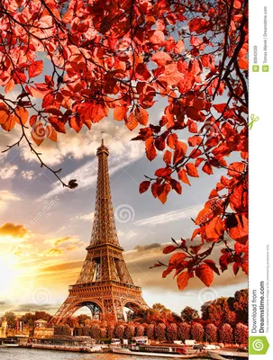 Эйфелева башня с листьями осени в Париж, Франции Стоковое Изображение -  изображение насчитывающей ñ ð¹ñ„ðµð»ñœ, ðºoñ ð¼oñ : 80642039
