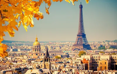Обои осень, листья, город, фон, Франция, Париж, вид, здания, дома, желтые,  крыши, панорама, Эйфелева башня, Paris, France, купола картинки на рабочий  стол, раздел город - скачать