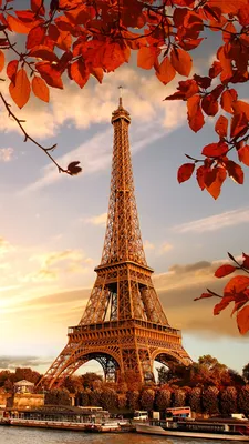 Фотография Париж Эйфелева башня Листья Франция Осень 1080x1920