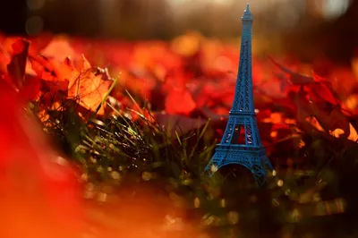 Французский осенний закат в Париже | Обои для телефона