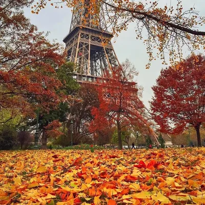 Осень в Париже - 90 фото