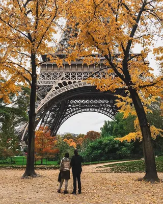 Париж с Эйфелева башней против листьев осени в Франции Стоковое Изображение  - изображение насчитывающей франция, памятник: 101572305