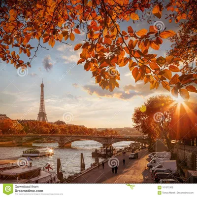 Картинка париж, франция, эйфелева башня, осень, листья, закат, природа,  пейзаж, свежий воздух, облака 1600x900 скачать обои на рабочий стол  бесплатно, фото 248313