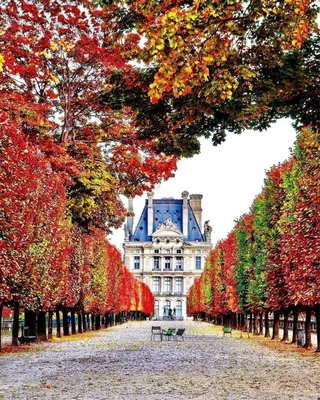 Скачать обои Золотая осень в Париже, Франция (1280x720). Обои на рабочий  стол, фотографии