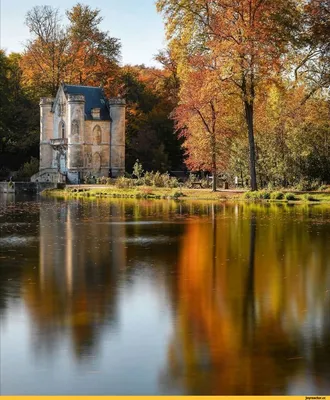 Франция Люксембургский сад осенью - Pinterest ru com