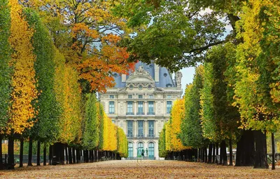 Обои осень, Франция, Париж, Сады Тюильри картинки на рабочий стол, раздел  город - скачать