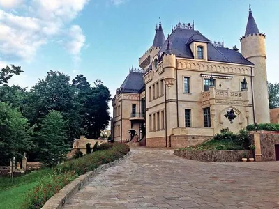 Цена обрушилась: замок Пугачевой и Галкина в деревне Грязь сняли с продажи