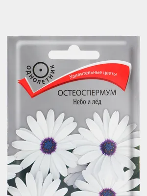 Остеоспермум Небо и лёд (семена) за 49 ₽ купить в интернет-магазине  KazanExpress