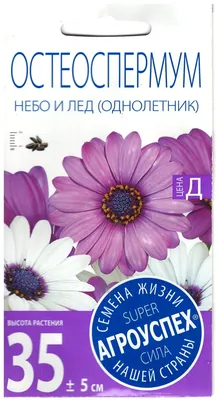 Семена Агроуспех Остеоспермум Небо и лед, смесь 0,2 г — купить в  интернет-магазине по низкой цене на Яндекс Маркете