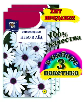Остеоспермумы Урожай удачи Остеоспермум - купить по выгодным ценам в  интернет-магазине OZON