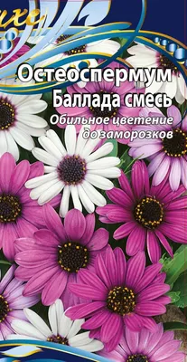 Остеоспермум Баллада смесь 0,05 гр 🍀 Купить семена - Цена 21 руб