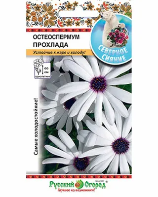 Остеоспермум прохлада - цветы однолетние — купить по низкой цене на Яндекс  Маркете