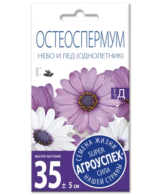 Лц/остеоспермум Небо и лед смесь О*0,2г (400) - купить в Минске|по Беларуси  с доставкой оптом