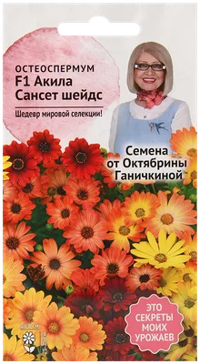 Цветок спермиус фото садовый — купить по низкой цене на Яндекс Маркете