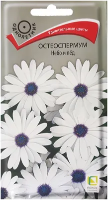 Семена ПОИСК остеоспермум небо и лед 0.1 г — купить в интернет-магазине по  низкой цене на Яндекс Маркете