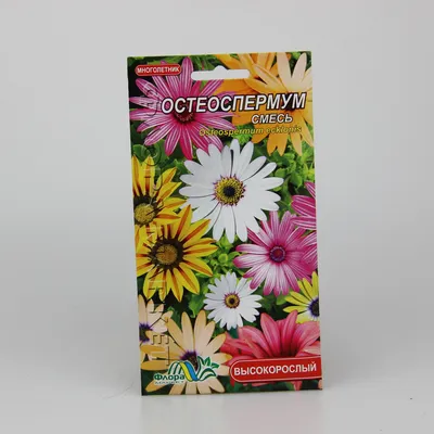 Семена цветов Остеоспермума в категории \"Дом и сад\" | Сравнить цены и  купить на Prom.ua