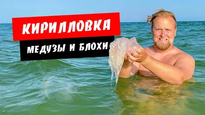 Кирилловка. Медузы и блохи есть! Цены в Кирилловке. Море, пляж, жилье. Отдых  в Кирилловке - YouTube