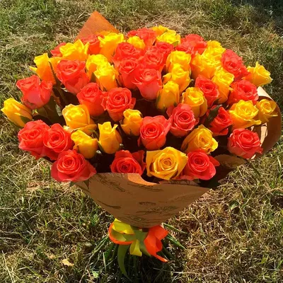 Букет из 61 желтой и оранжевой розы заказать с доставкой в Краснодаре